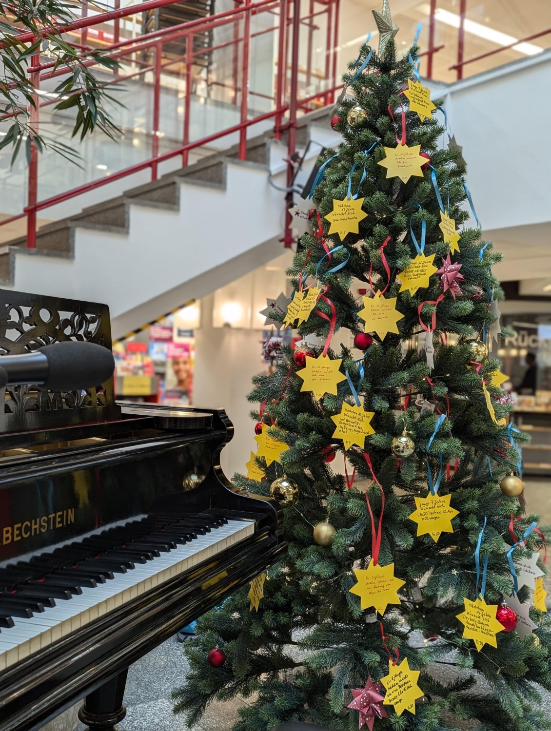 Wunschbaum in der Mark-Twain-Bibliothek