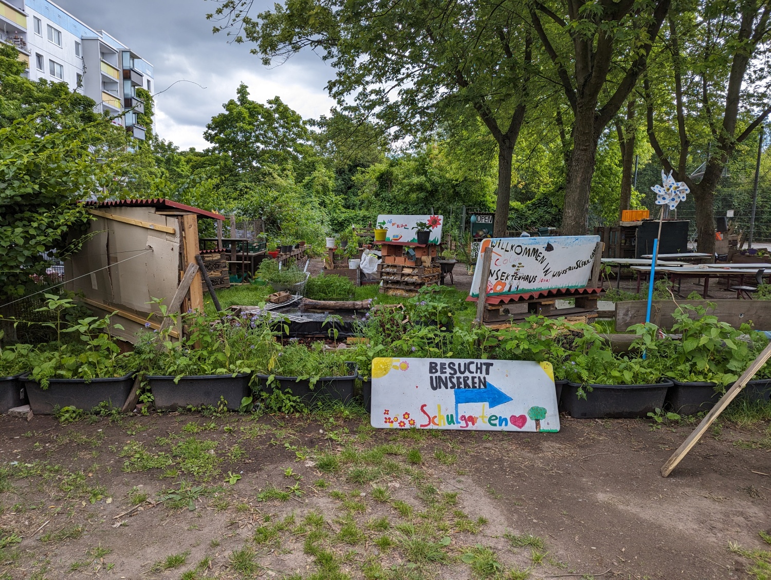 Schulgarten der Grundschule am Hollerbusch