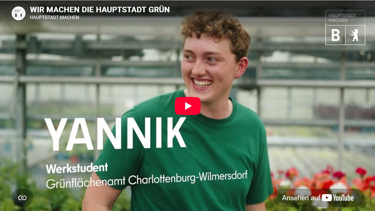 Teaser_SenFin_Youtube_WirmachendieHauptstadt-gruen