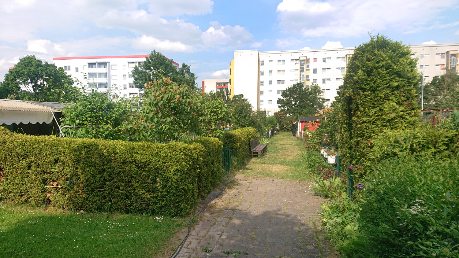 B-Plan 10-93 - Grundstück Auerbacher Ring 40, 42 - Mietergärten Bild 4