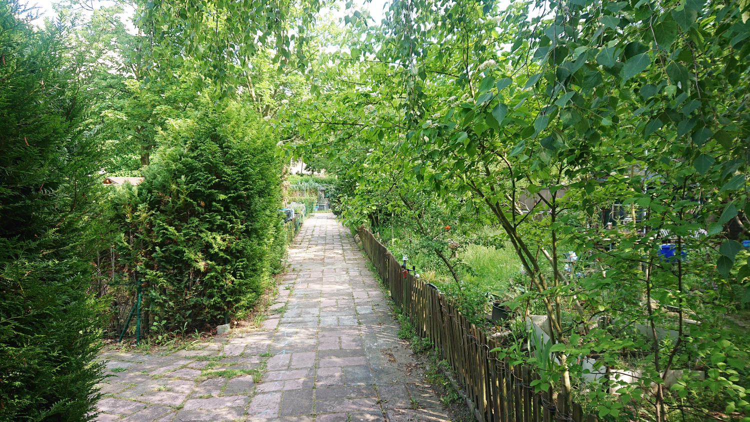 B-Plan 10-93 - Grundstück Auerbacher Ring 40, 42 - Mietergärten Bild 5