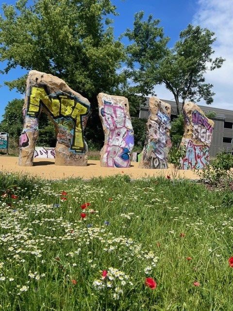 Graffiti Boulder
