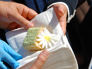 Eines der begehrten Stücke vom großen Geburtstagskuchen