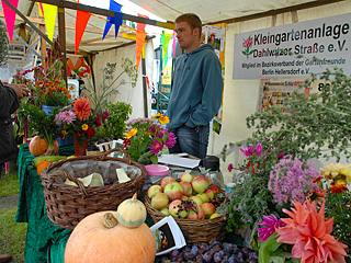 An den insgesamt 50 Ständen informierten die meist Ehrenamtlichen über ihre Arbeit.