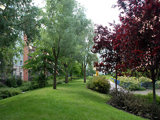 begrünter Innenhof der Neubausiedlung Hellersdorf