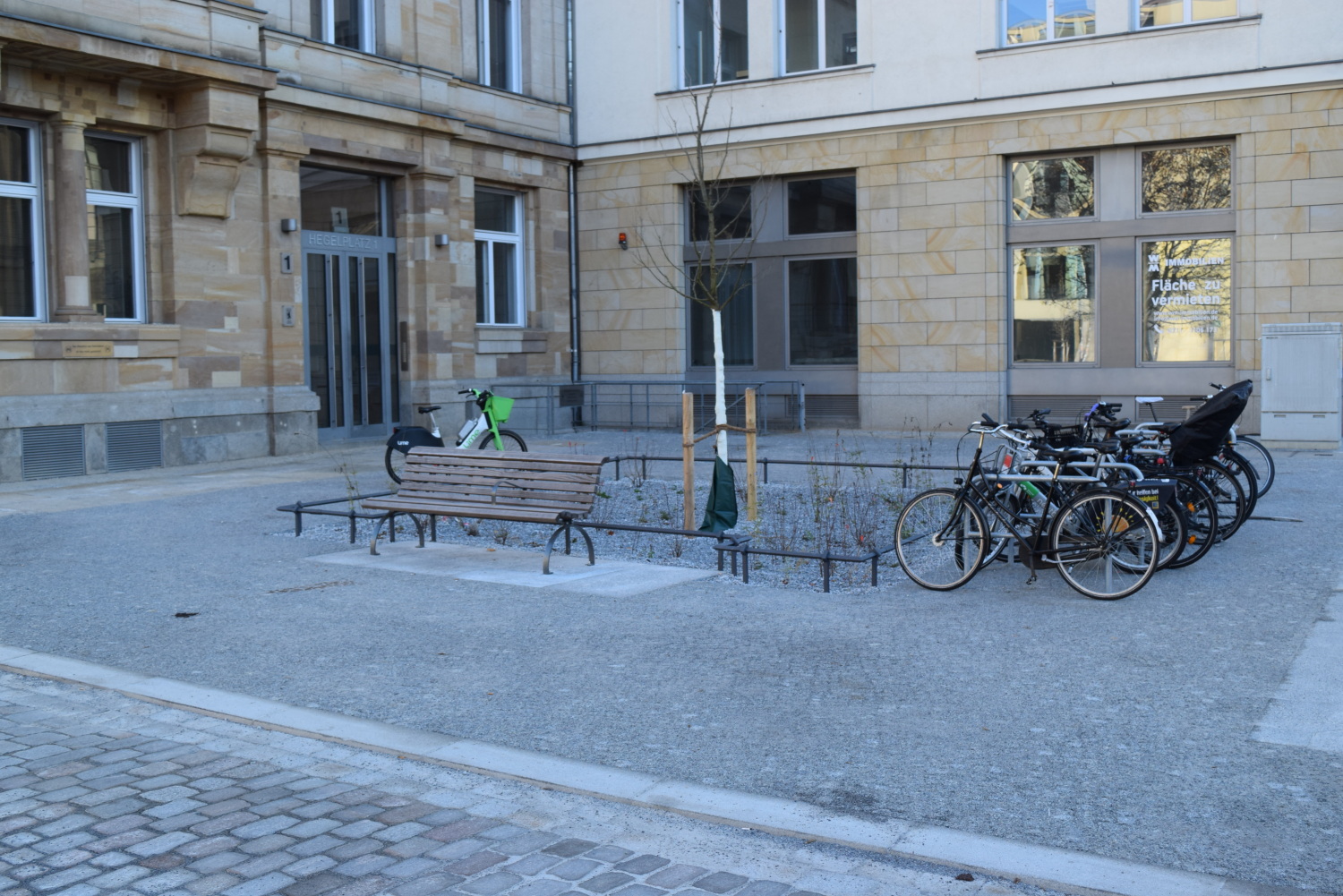 In der 36 Quadratmeter großen Versickerungsmulde wurden ein Baumhasel und mehrere Sträucher gepflanzt.