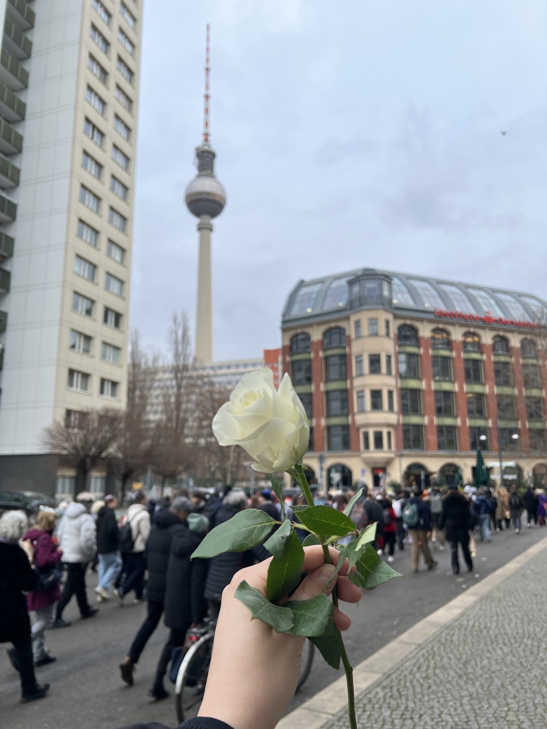 Weiße Rose mit Schweigemarsch im Hintergrund