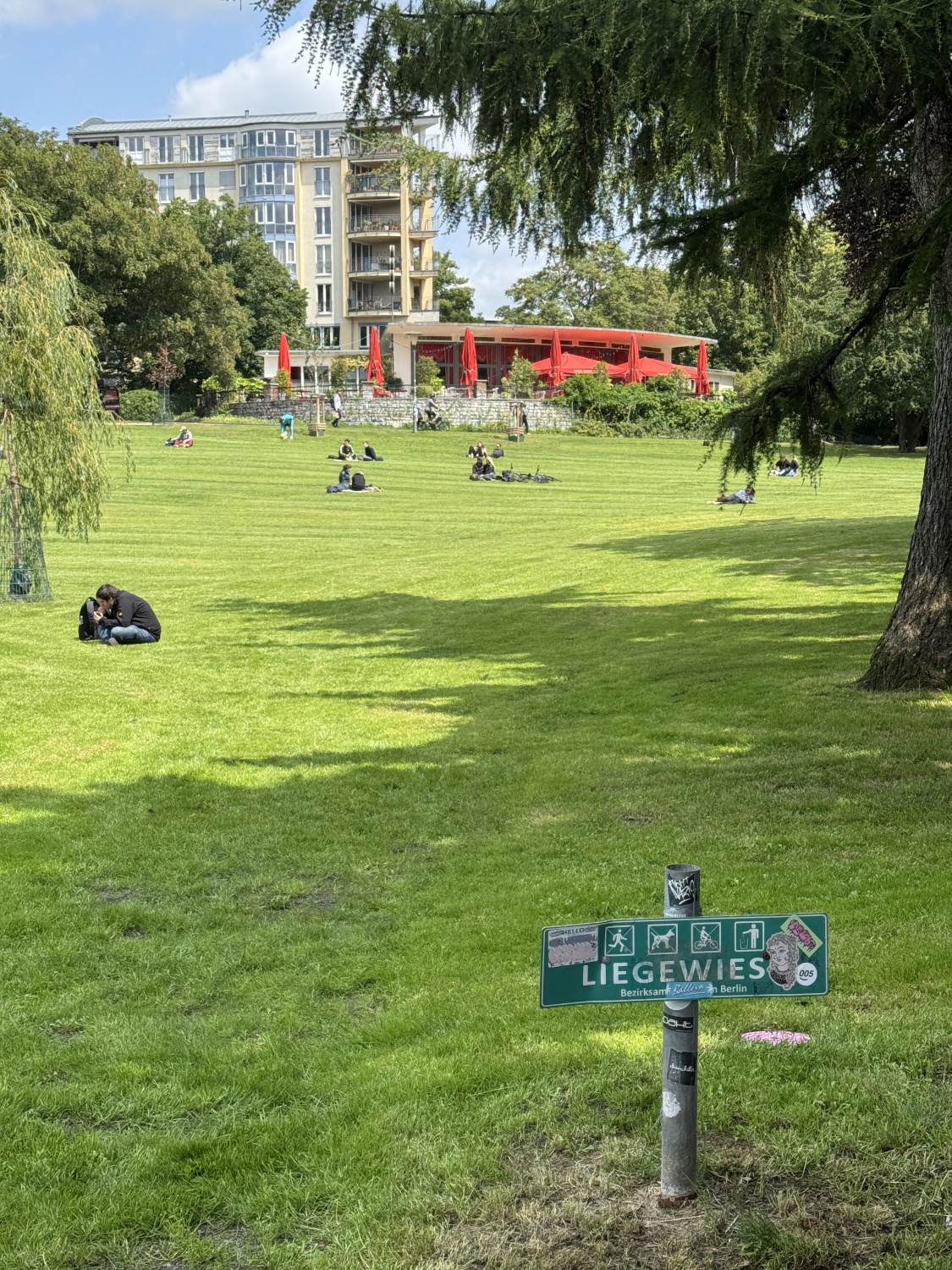 Liegewiese mit regeneriertem Rasen im Weinbergspark