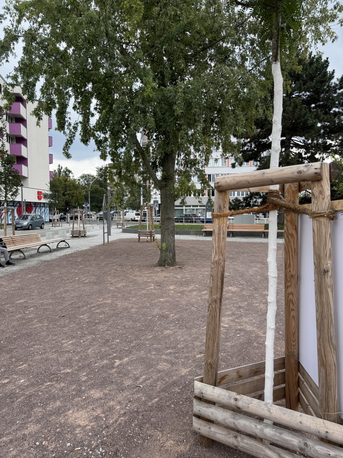 Sicht auf neu gepflanzte Bäume und Grünanlage auf dem Weddingplatz