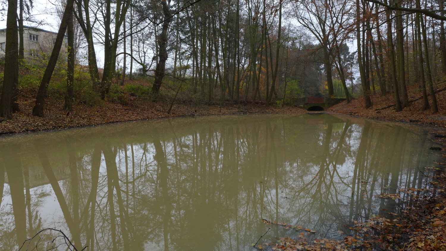 Entenpfuhl 2019 - Bakterienblüte