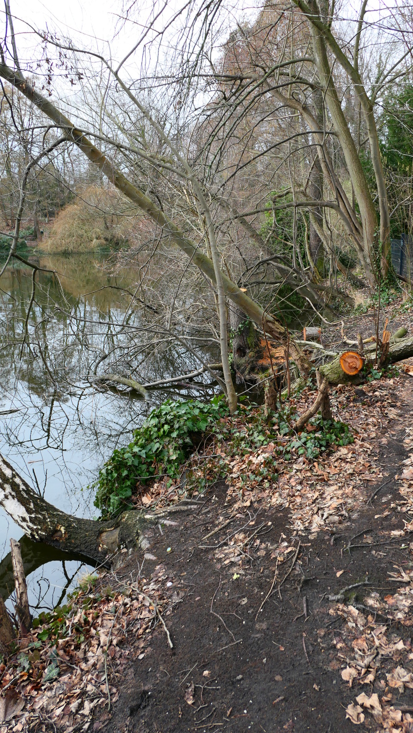 Plötzensee - 2024_5