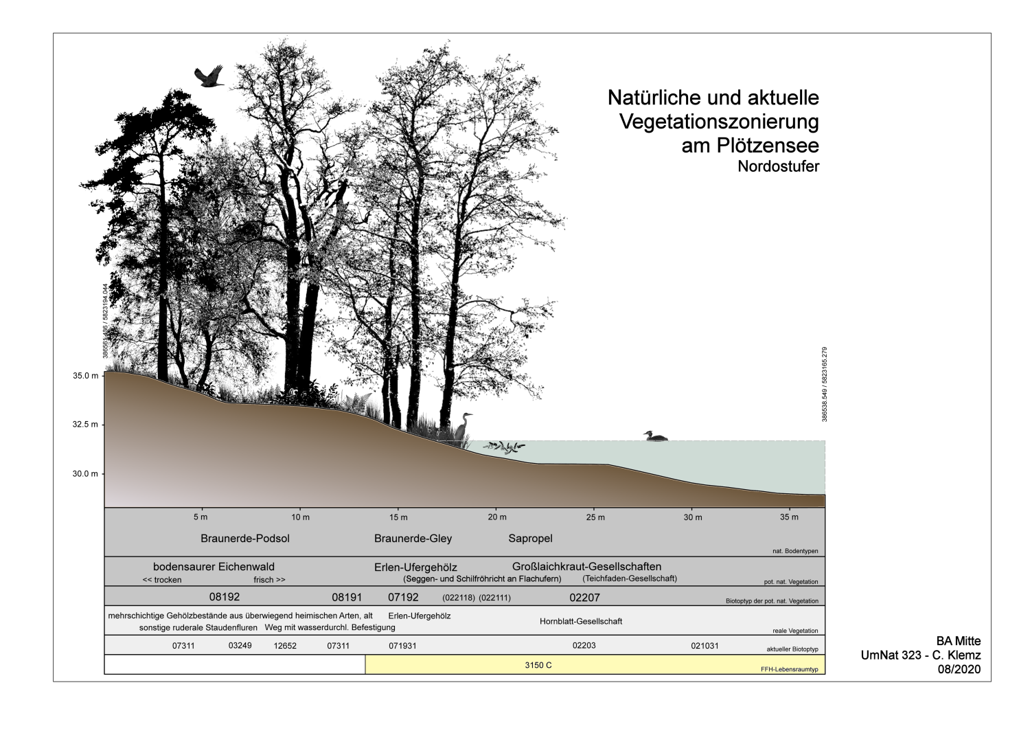 Plötzensee - Schnitt - Nordostufer