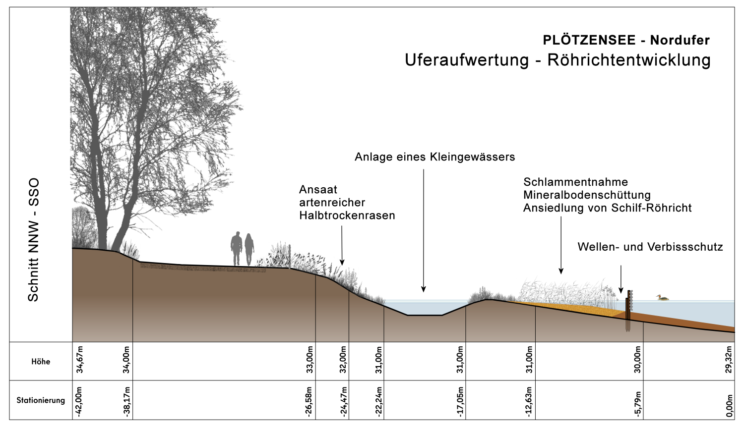 Plötzensee - Schnitt - Maßnahmen