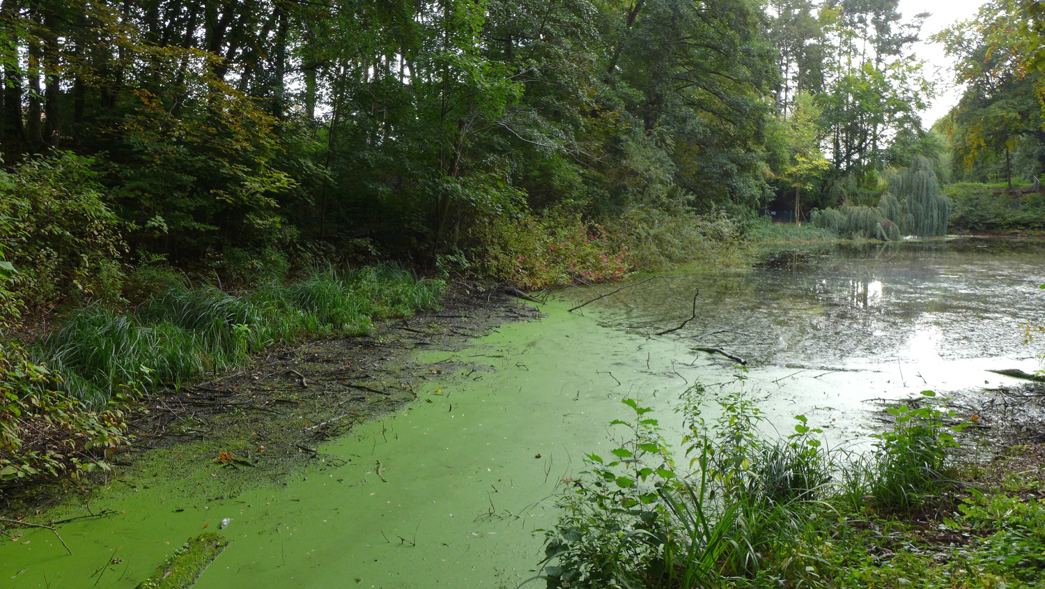 Sperlingsee 2020
