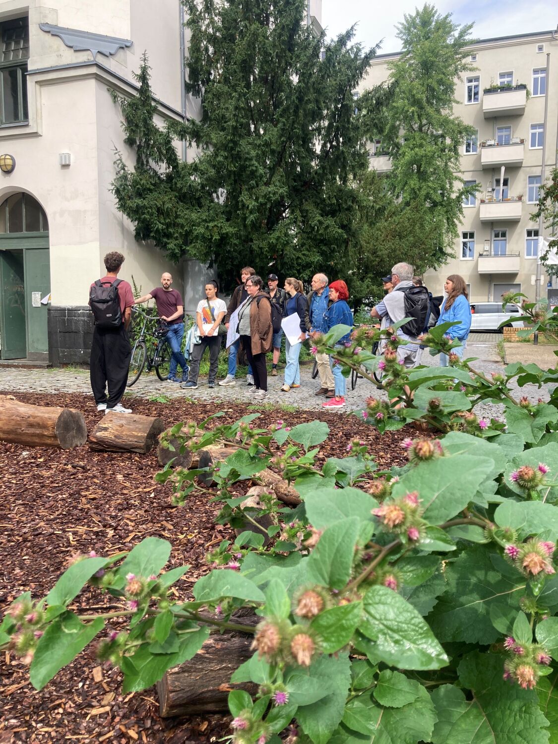 Projekt Kühle Ecken entedcken Spaziergang