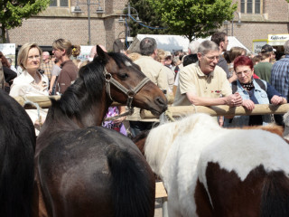 Bottroper Pferdemarkt