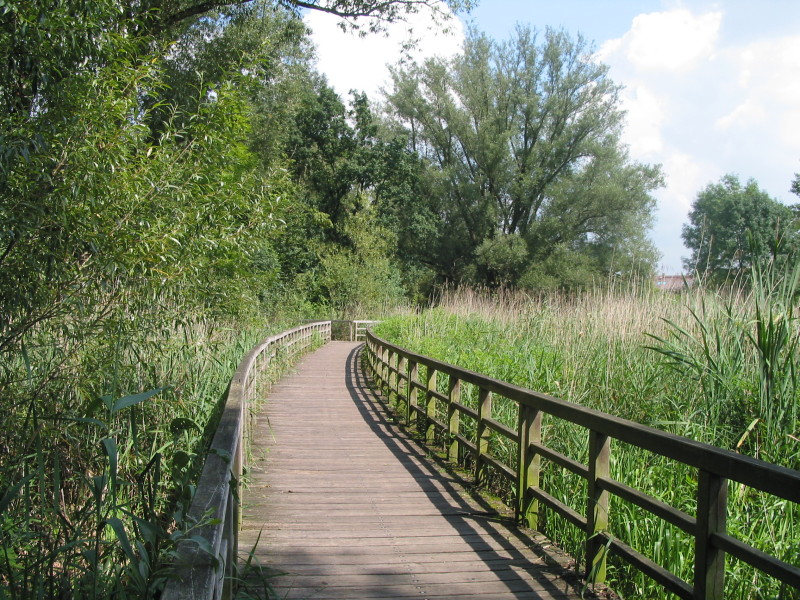 Holzsteg im Rudower Fließ