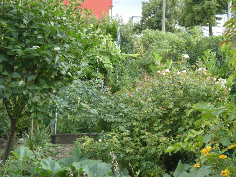 Blumenbeet