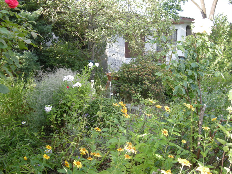 Blumenbeet