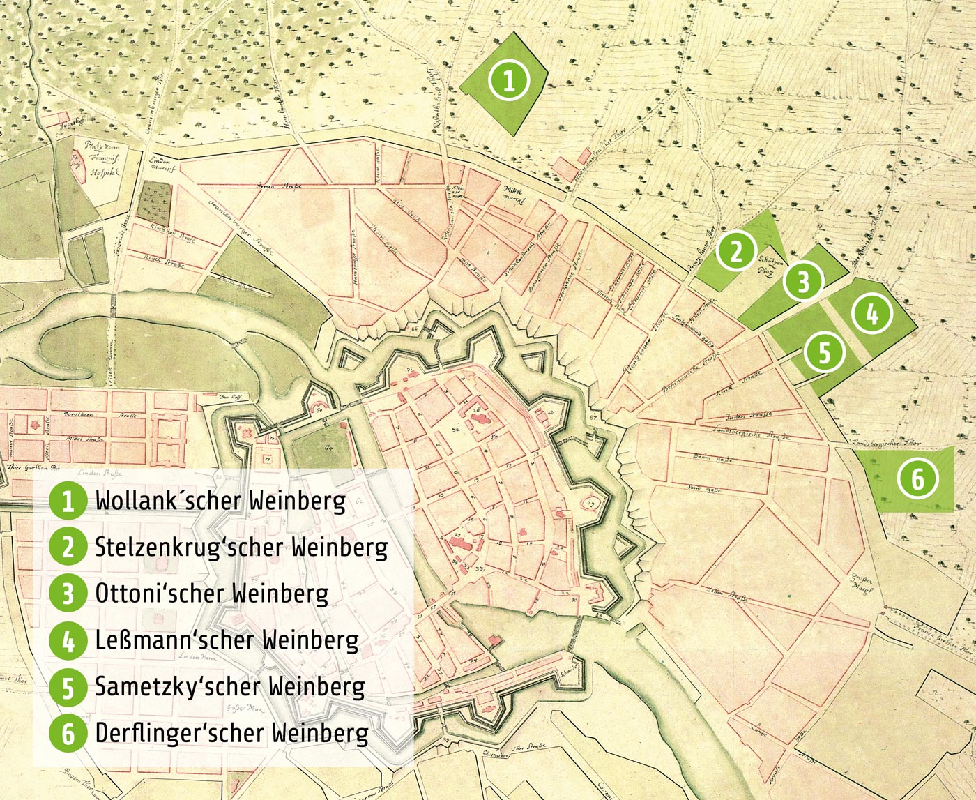 Festungsplan (Ausschnitt) mit eingezeichneten Weinbergen, 1701.