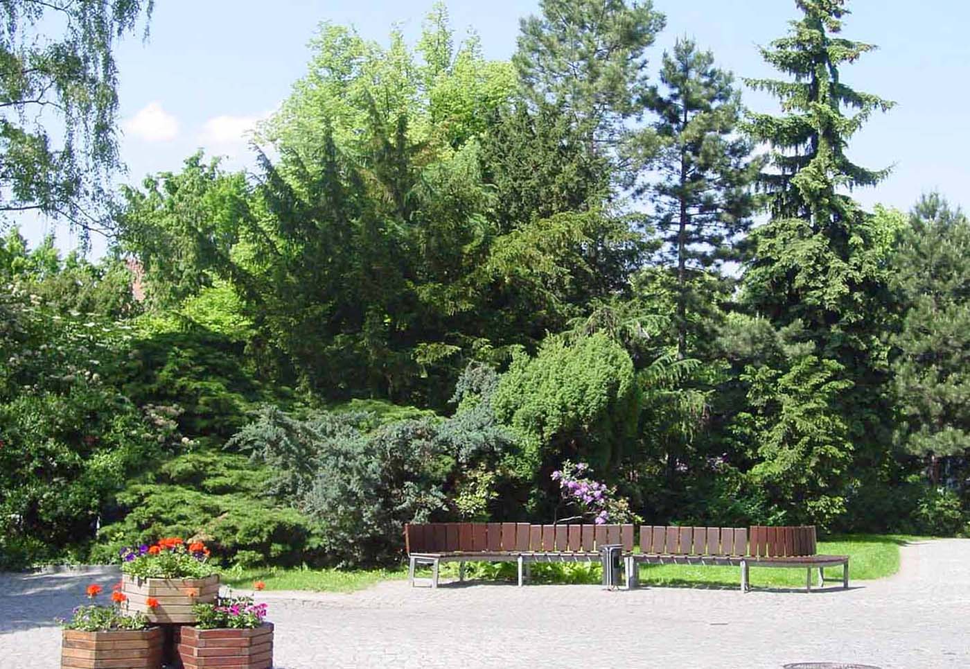 Im Park des St. Joseph-Krankenhauses, 2013