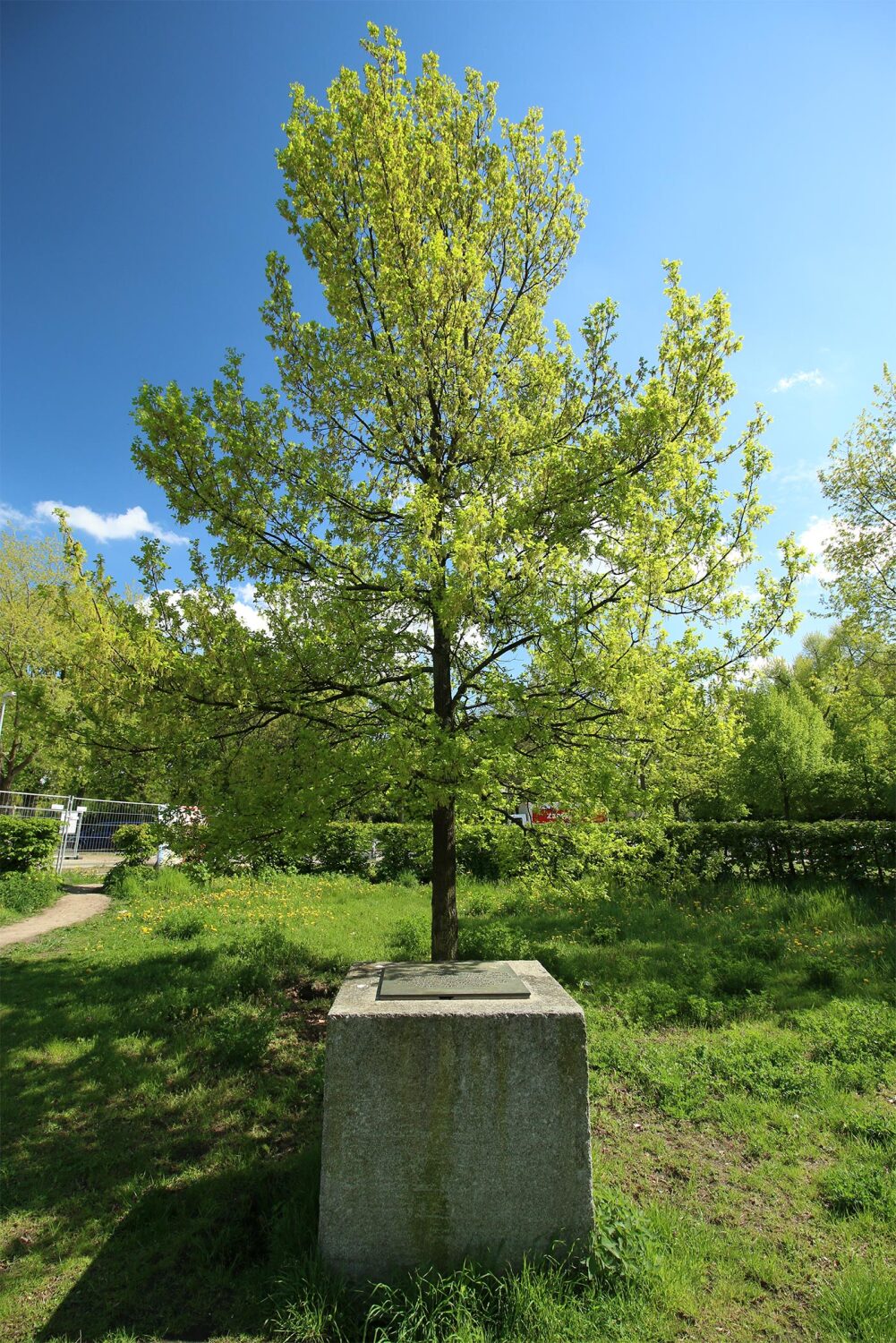 Gedenkstein für Peter Joseph Lenné und Gustav Meyer