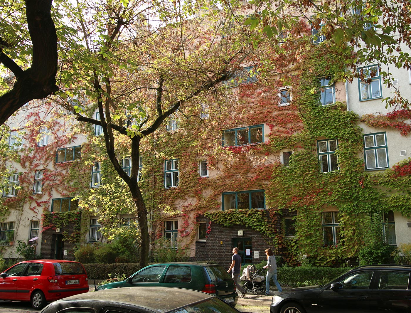 Begrünung durch Klettergehölze in der Varnhagenstraße, 2014