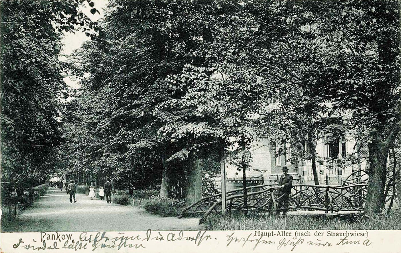 Haupt-Allee in Niederschönhausen
