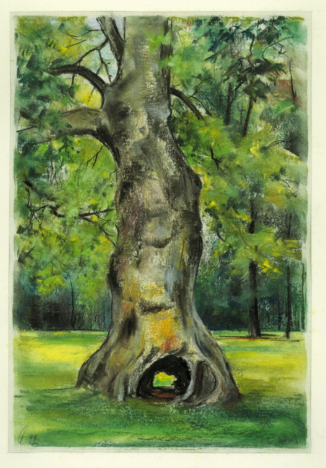 Platanen im Schlosspark Schönhausen, 1999