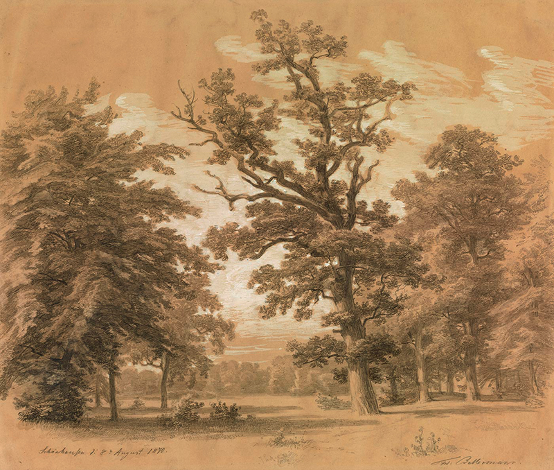 Parkstudie aus Schönhausen, 1870