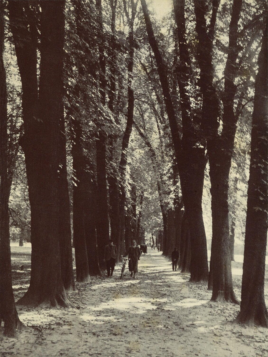 Kastanienallee in Schönhausen um 1934