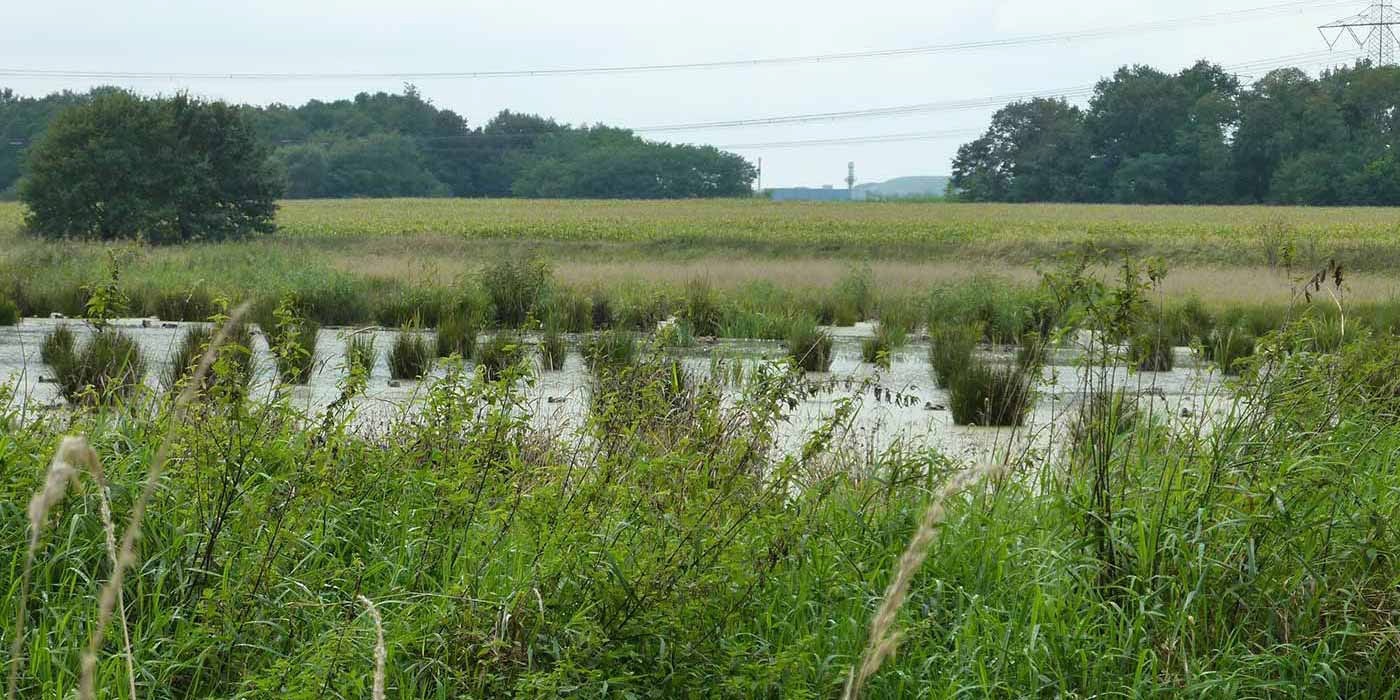 Naturschutz- und Landschaftsschutzgebiet Naturpark Barnim, 2013