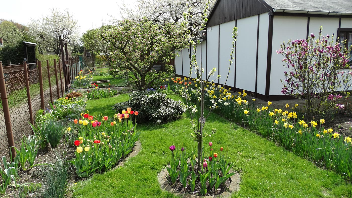 Frühlings-Blumenbeete im Kleingarten