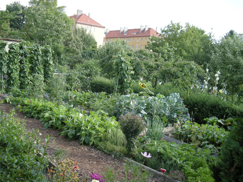 Gemüsebeet