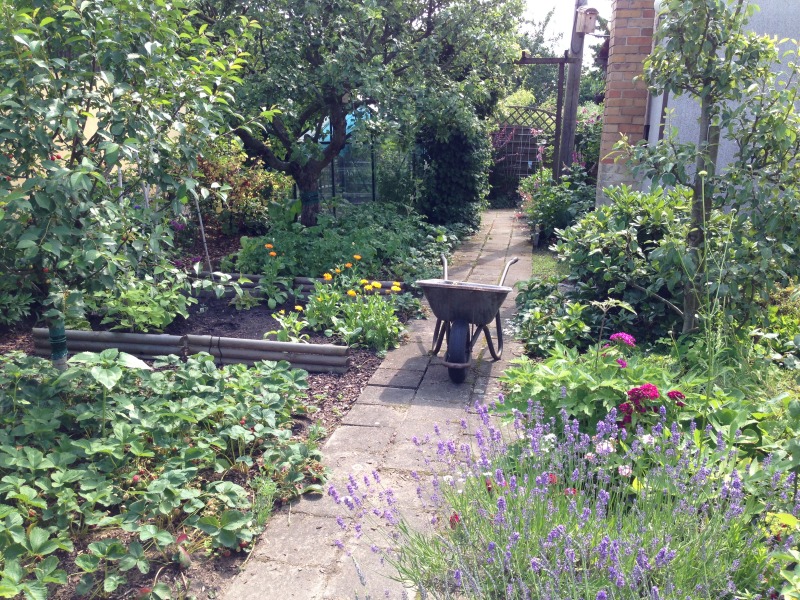 Gartenweg mit Schubkarre
