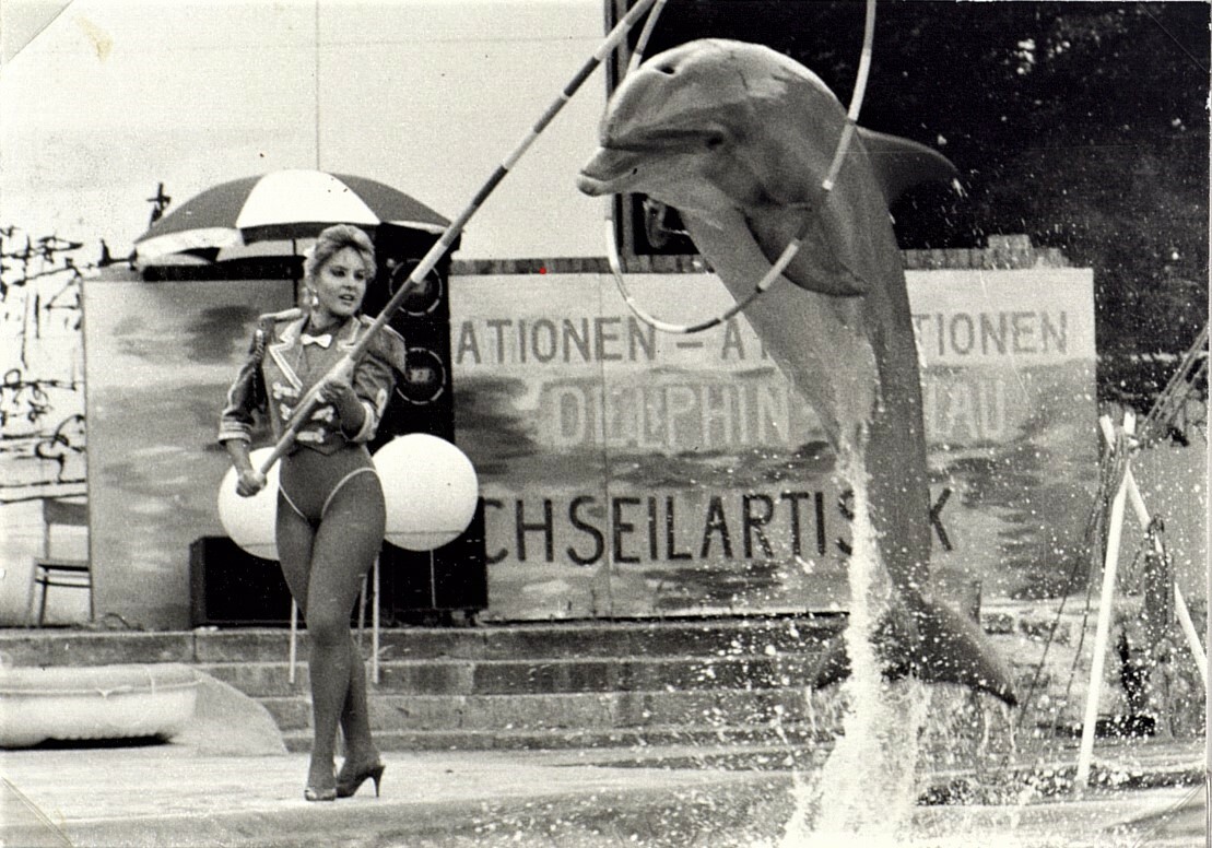 Delphin-Show in der Freilichtbühne anlässlich der 750-Jahrfeier Berlins, Foto 1987