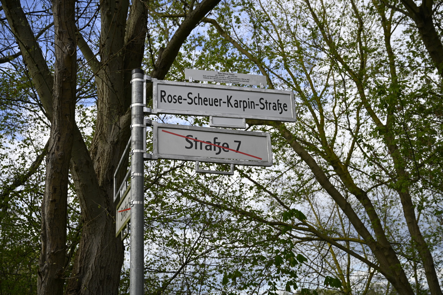 Straßenschild Rose-Scheuer-Karpin-Straße