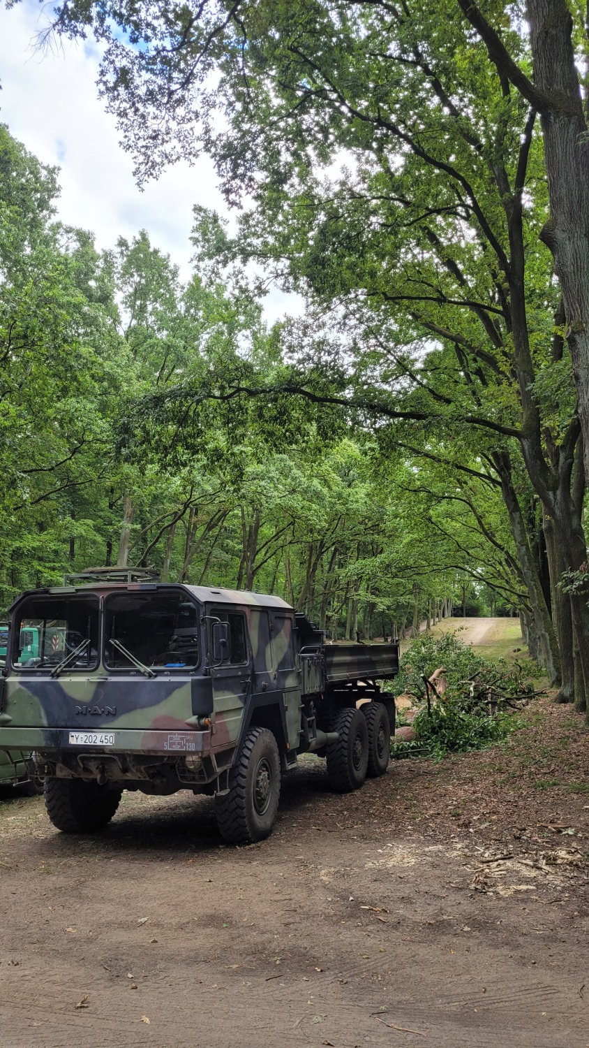 Mit schwerem Gerät den Park beräumt