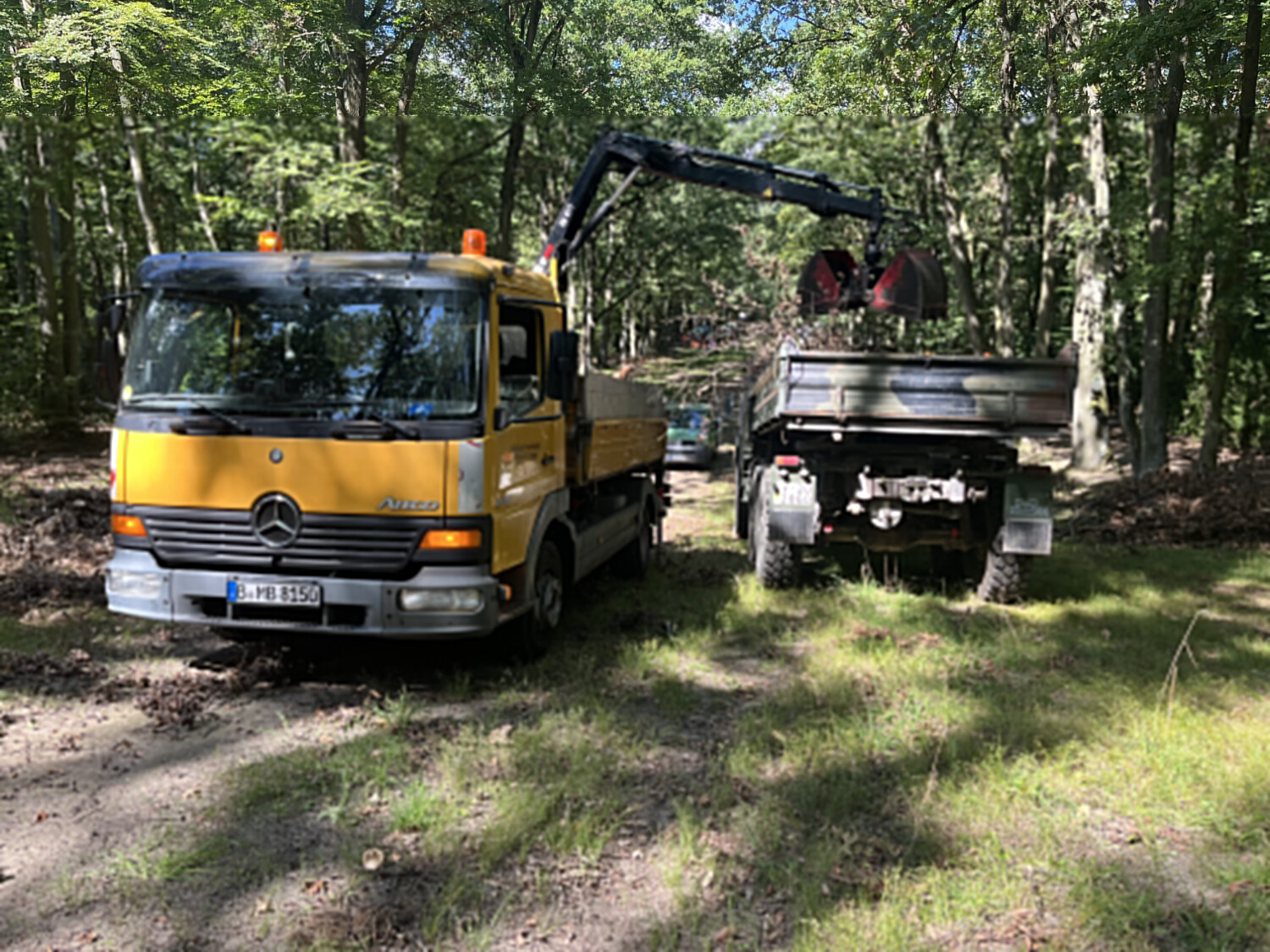 Bundeswehr und Bezirksamt gemeinsam gegen Sturmschäden im Steinbergpark