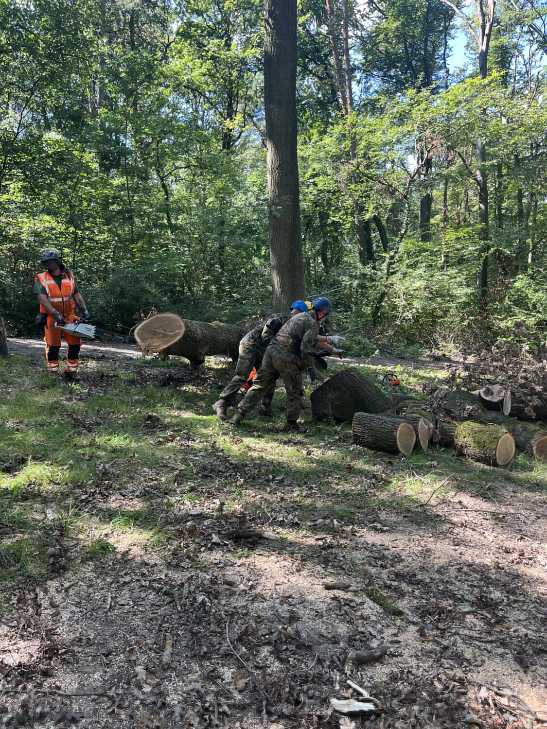 Bundeswehr und Bezirksamt gemeinsam gegen Sturmschäden im Steinbergpark