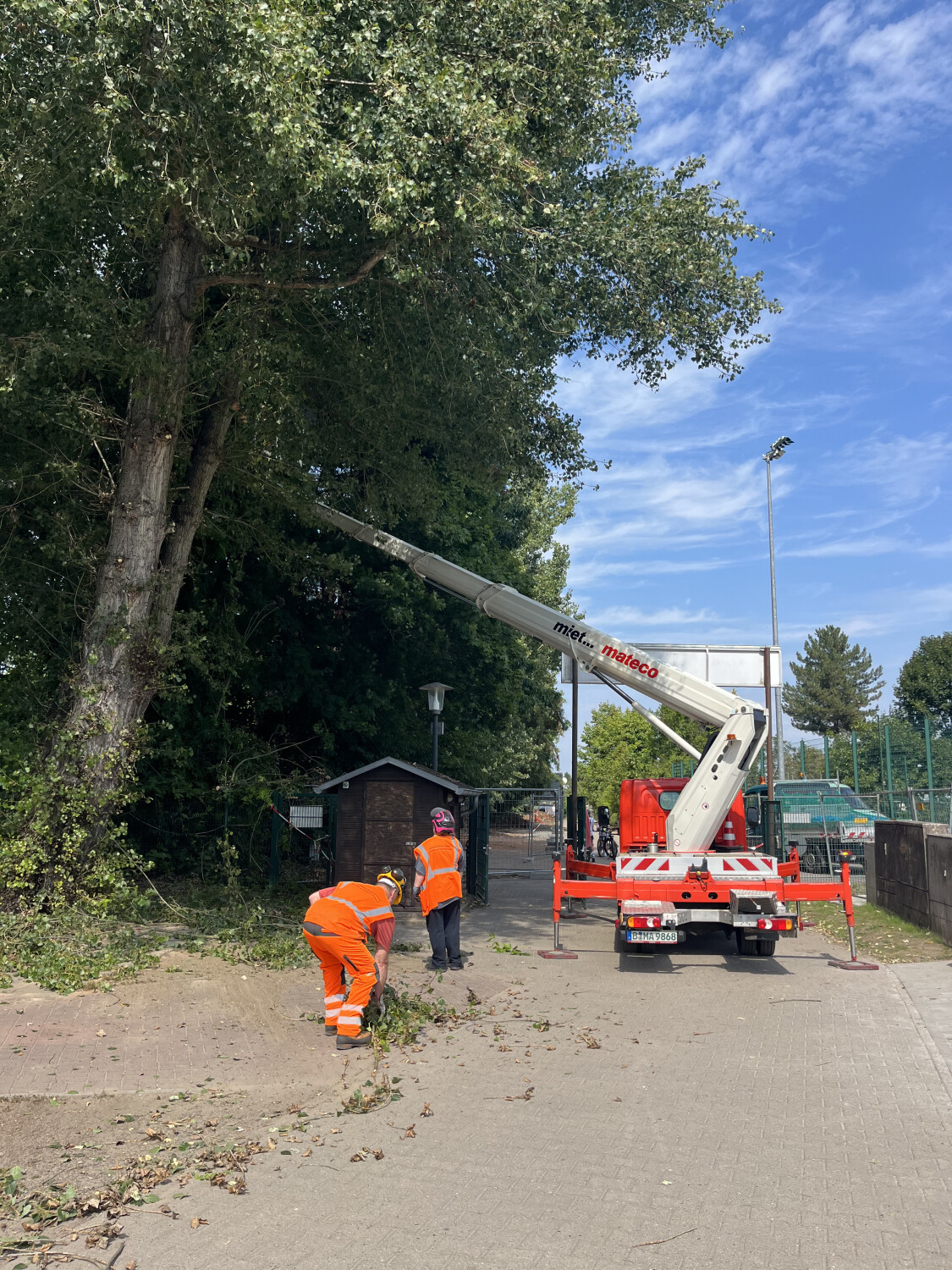 Aufräumen auch am Elchdamm