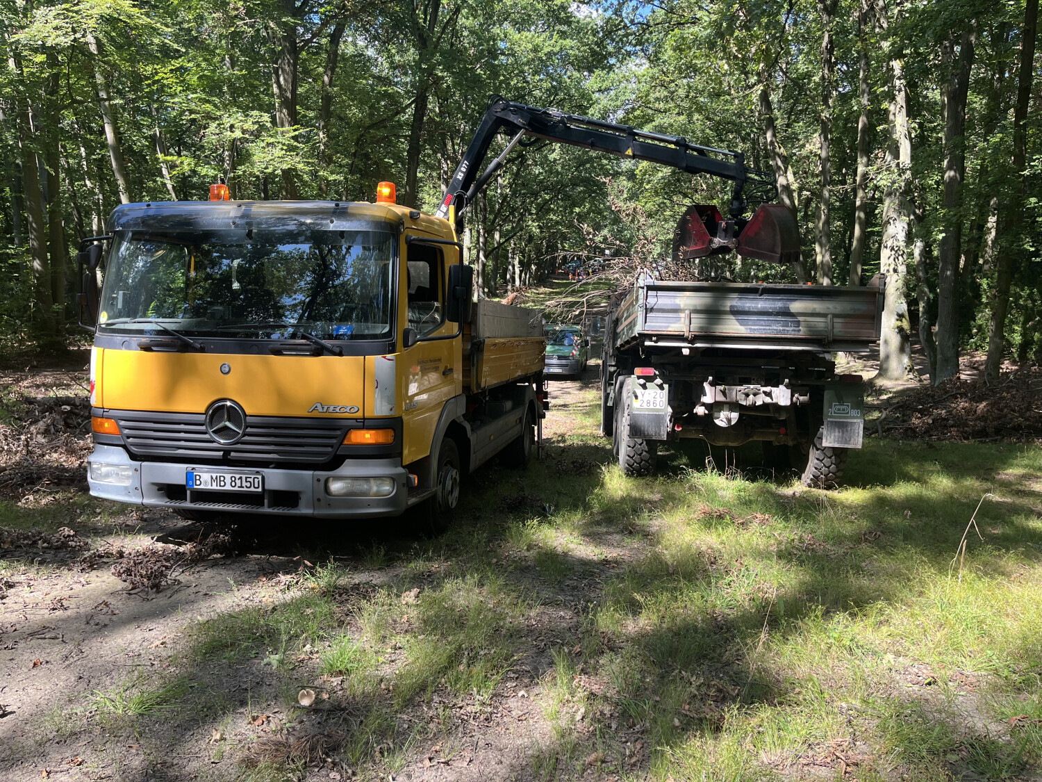 Die Hauptwege im Steinbergpark sind nun wieder geöffnet