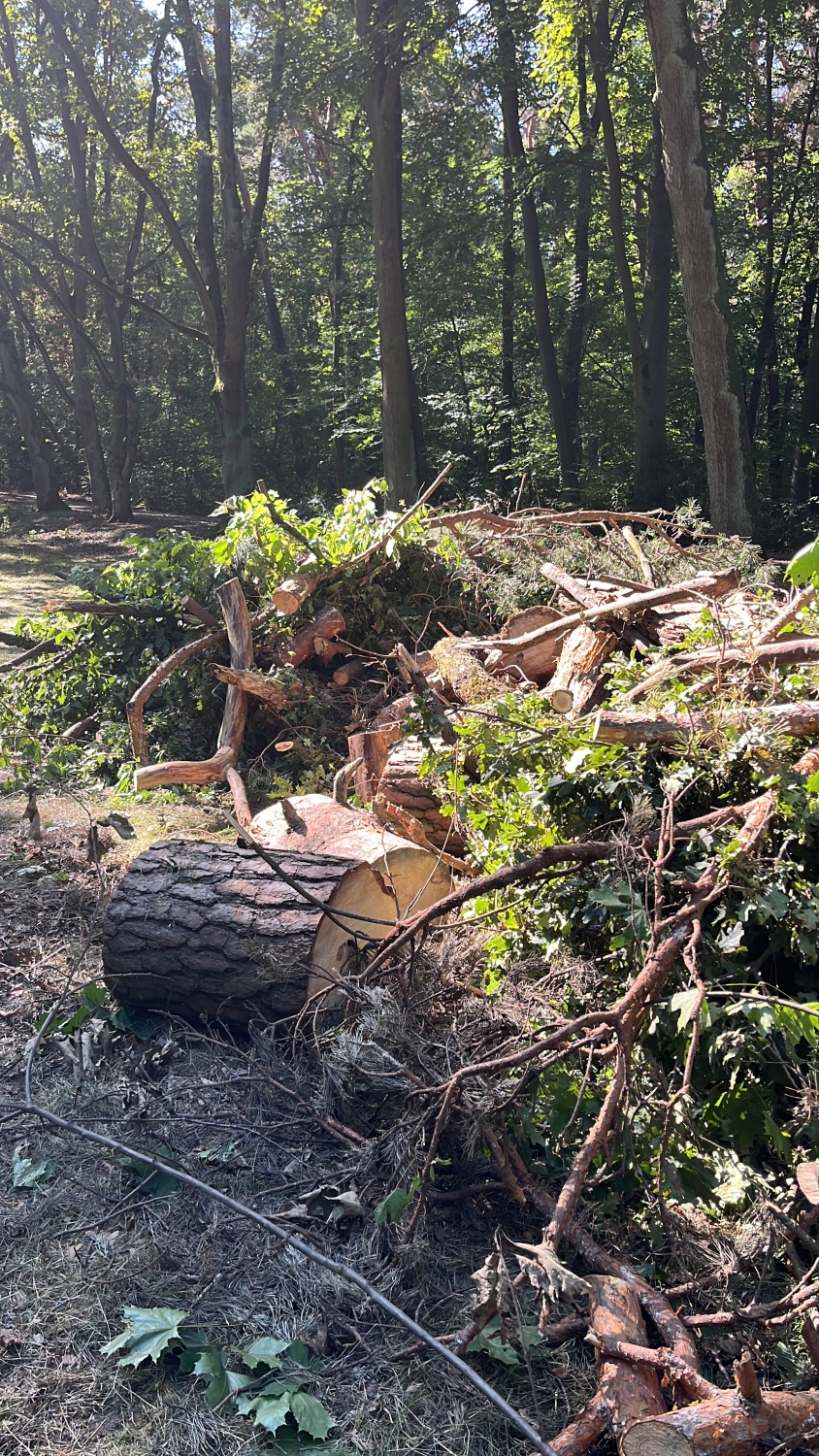 Die Überreste der Juni-Stürme