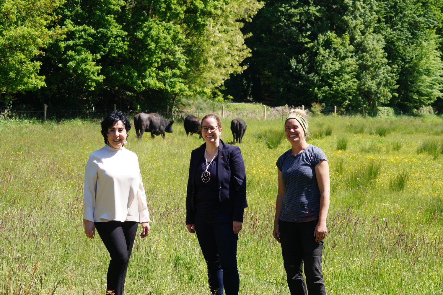 Freude über die geglückte Ankunft der Tiere bei Bezirksbürgermeisterin Demirbüken-Wegner, Stadträtin Schrod-Thiel und einer Vertreterin des Landschaftspflegeverbands.