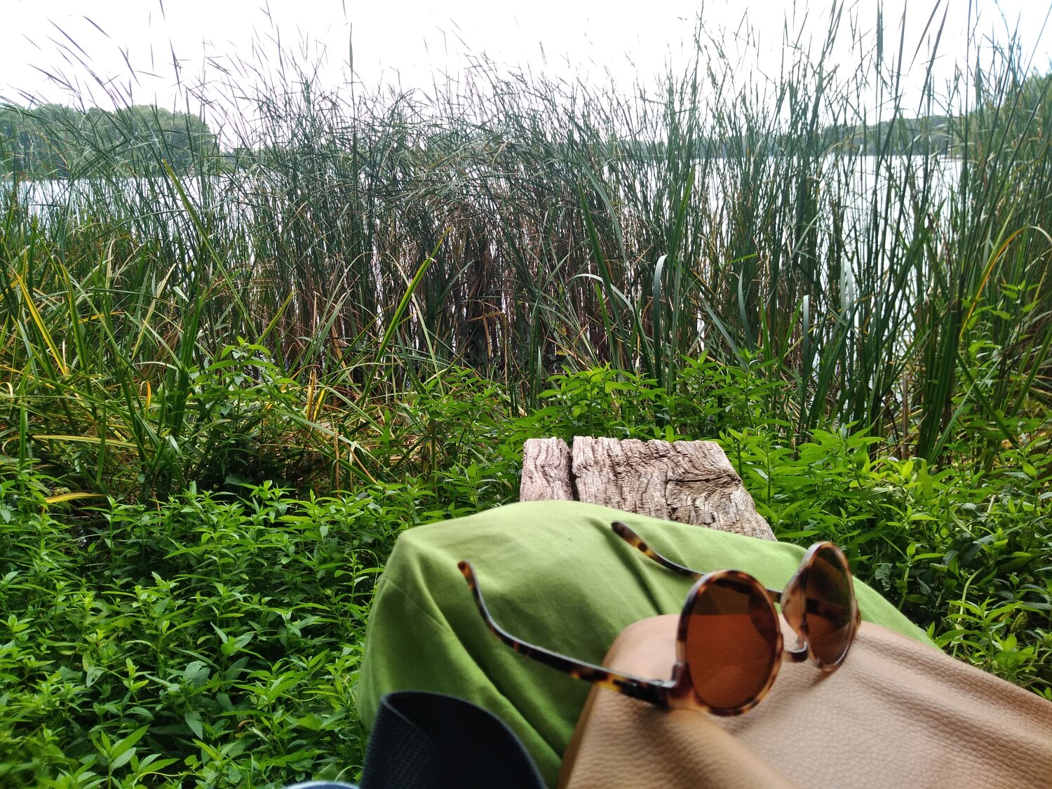Natur und Wasser genießen in Reinickendorf