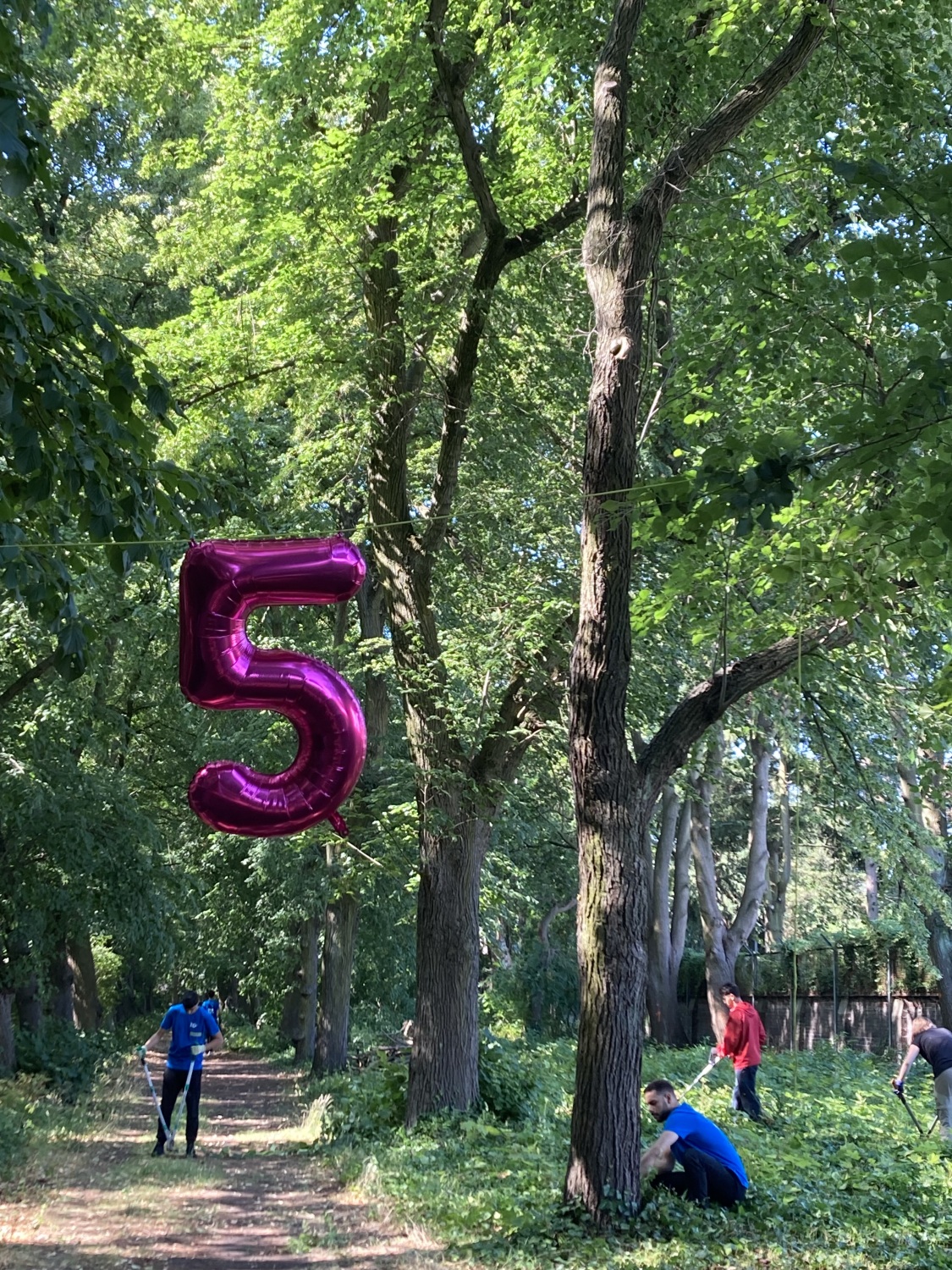 5. Jahr Workcamp Alter Anstaltsfriedhof