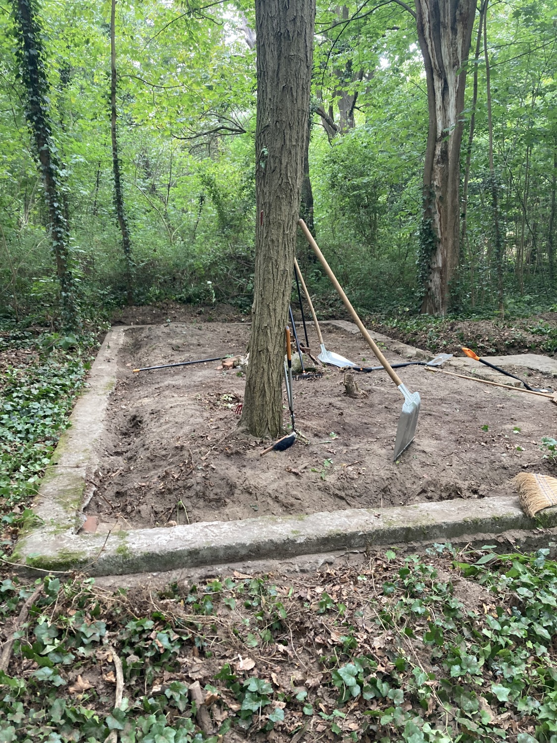 freigelegtes Areal Alter Anstaltsfriedhof