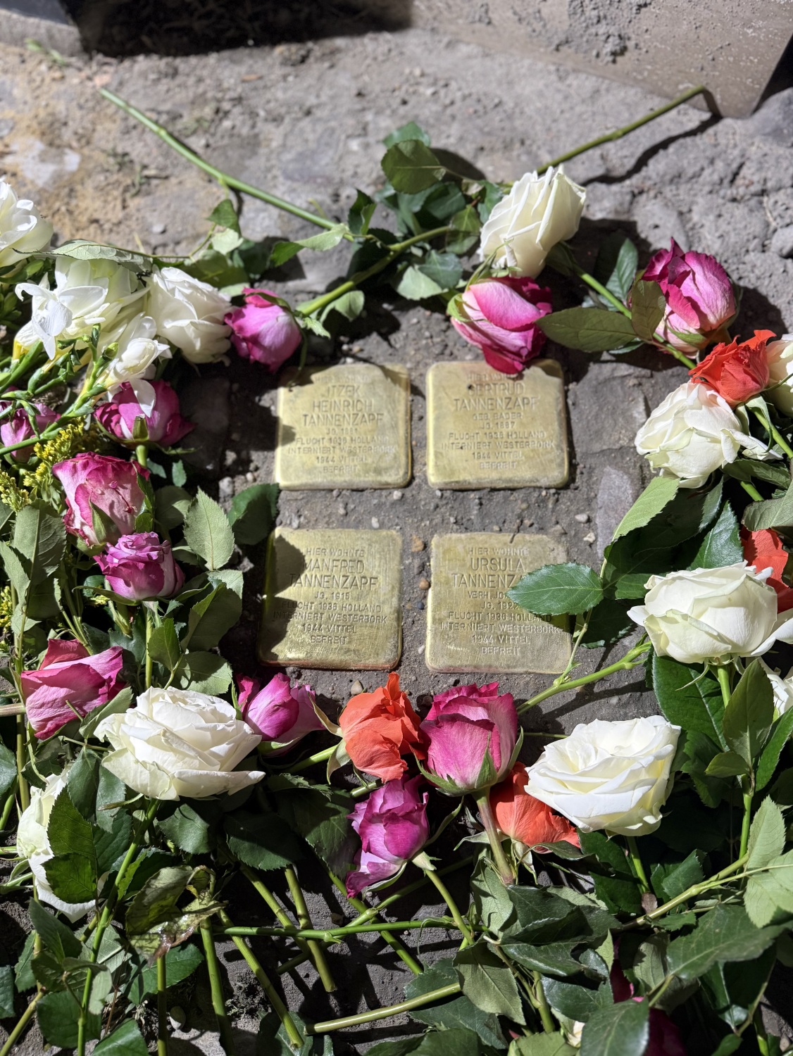 Vier Stolpersteine an der Berliner Straße 88 in Tegel erinnern an das Schicksal der Familie Tannenzapf.