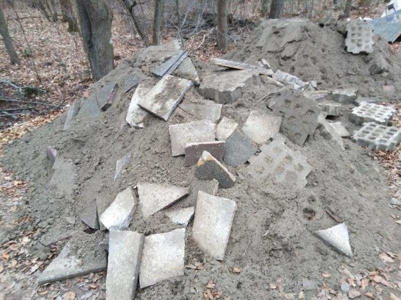 Flughafensee vor der Brücke zum Pils