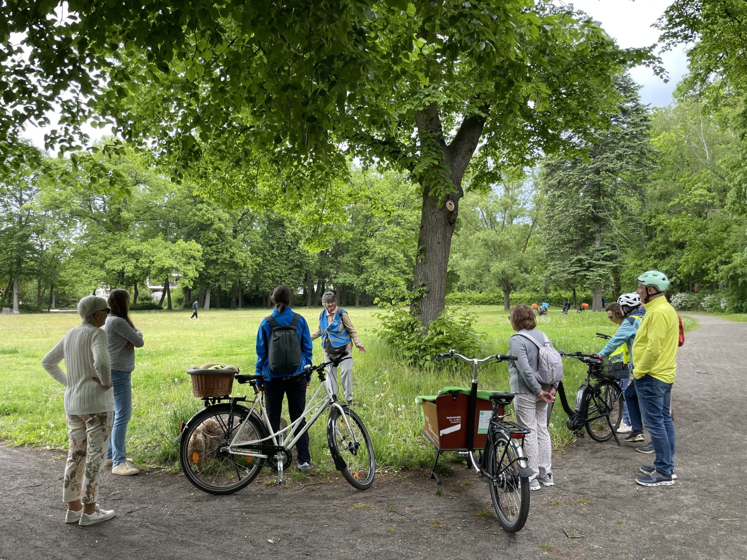 Blühwiese im Volkspark Wittenau ist ein wichtiger Lebensraum für zahlreiche Tier- und Pflanzenarten. Durch gezielte Maßnahmen des NABU, wie Sand- und Holzhaufen für Insekten sowie selten gemähte Blühwiesen, wird die Biodiversität nachhaltig gefördert. Die Kombination aus naturnaher Pflege und klimaangepasster Gestaltung stärkt das ökologische Gleichgewicht und trägt zum langfristigen Erhalt der Artenvielfalt im Bezirk bei.